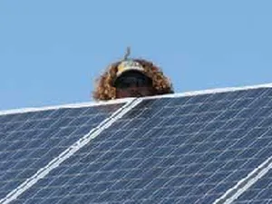 ‘Merkel steunt verlenging importheffingen op zonnepanelen’