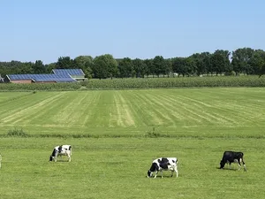 1 op 10 Nederlandse melkveehouders wil investeren in zonnepanelen