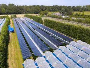 Het Dilemma | Wat is agri-pv, is een definitie noodzaak?