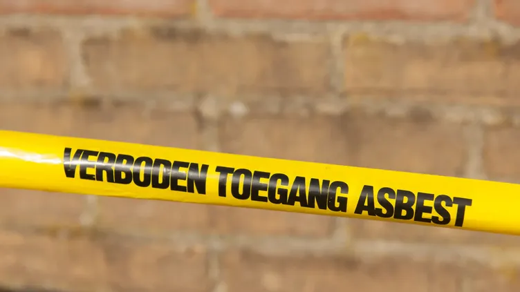 © Ivonne Wierink | Dreamstime.com