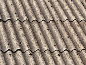 Bijna 500 aanvragen voor Vlaamse asbestpremie met zonnepanelen