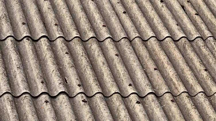 © Jozef Jankola | Dreamstime.com