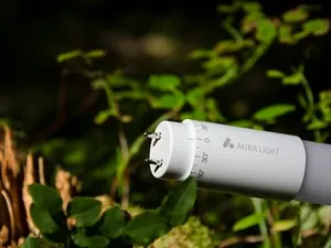 Aura Light introduceert led-retrofit voor T8-fluorescentielampen