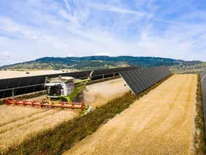 Europese subsidie BayWa voor combineren landbouw en zonnepanelen in 6 zonneparken