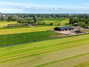 De harde cijfers | Liander registreert 96 megawatt(piek) zonnepanelen in eerste kwartaal
