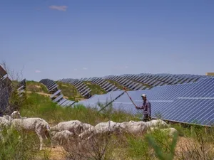 Chint Solar wint internationale award voor zonne-energieproject dat woestijnen bestrijdt