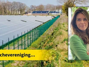 Holland Solar over grootschalige uitrol zonne-energie: ‘Nieuw kabinet legt de lat nog hoger’