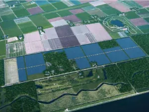 Geen zienswijzen zonnepark Dorhout Mees (125 megawattpiek), project Solarfields naar volgende fase