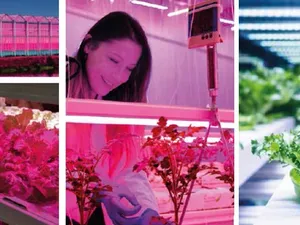 Emalfa lanceert nieuwe productrange  groeilampen voor tuinbouwsector