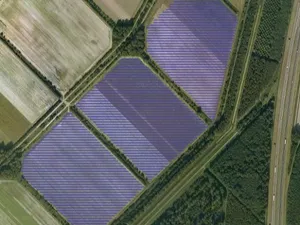 Concept Regionale Energiestrategie Flevoland: 1 gigawattpiek zonnepanelen op land in 2030