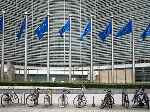 Uitzondering op stikstofbeoordeling kan stroomnet 3 tot 12 maanden vertraging besparen als Brussel akkoord gaat