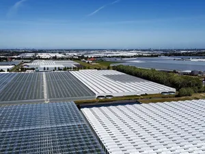 Nieuw onderzoek toont potentieel van restwarmte batterijen voor glastuinbouw