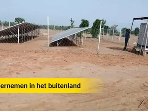Green Ventures: high risk, high reward pv-ontwikkeling en impact maken in Afrika