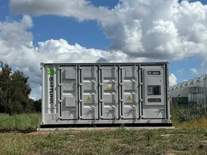 Tomatenkwekerij neemt batterij van 2,4 megawattuur in gebruik