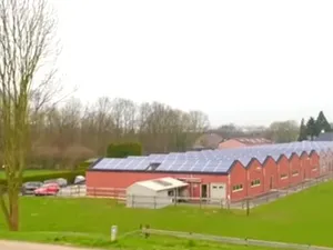 679 zonnepanelen voor champignonteler in Hoenzadriel (video)