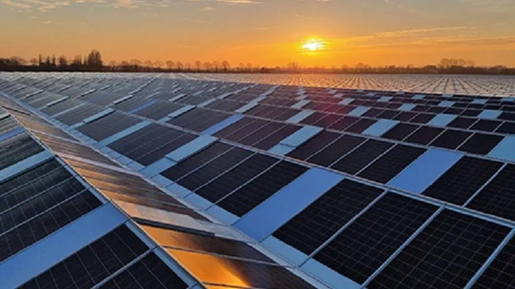 © Hoogeveen Plants | VDH Solar