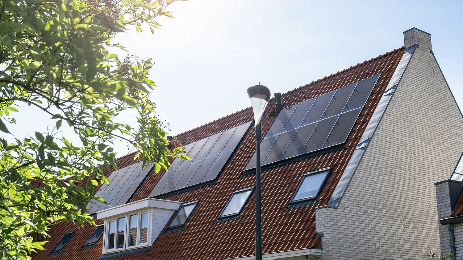 Buurman verliest rechtszaak over schaduw op zonnepanelen
