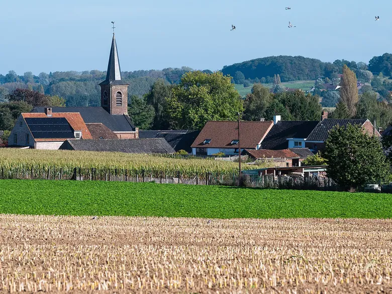 pinned-nieuws-item