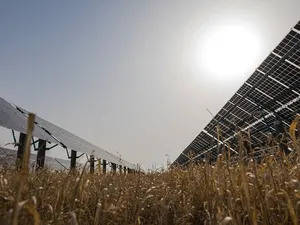 Jolywood levert Unisun Energy 40.000 zonnepanelen voor Zonnepark Rilland