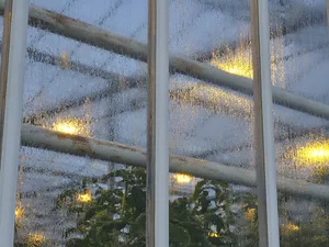 Glastuinbouw Nederland wil strengere regels zonnepanelen op kassen