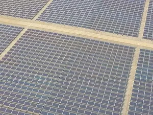 Horst aan de Maas krijgt stimuleringsregeling voor zonnepanelen op bedrijfsdaken