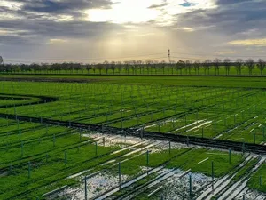 KiesZon bouwt 5 zonneparken voor Klimaatfonds Nederland: 150.000 zonnepanelen op komst