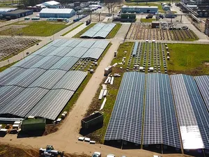KiesZon bouwt zonnepark van 22.000 zonnepanelen voor Solvay Chemie