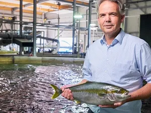 Led-verlichting helpt The Kingfish Company groei milieuvriendelijke vissen te versnellen
