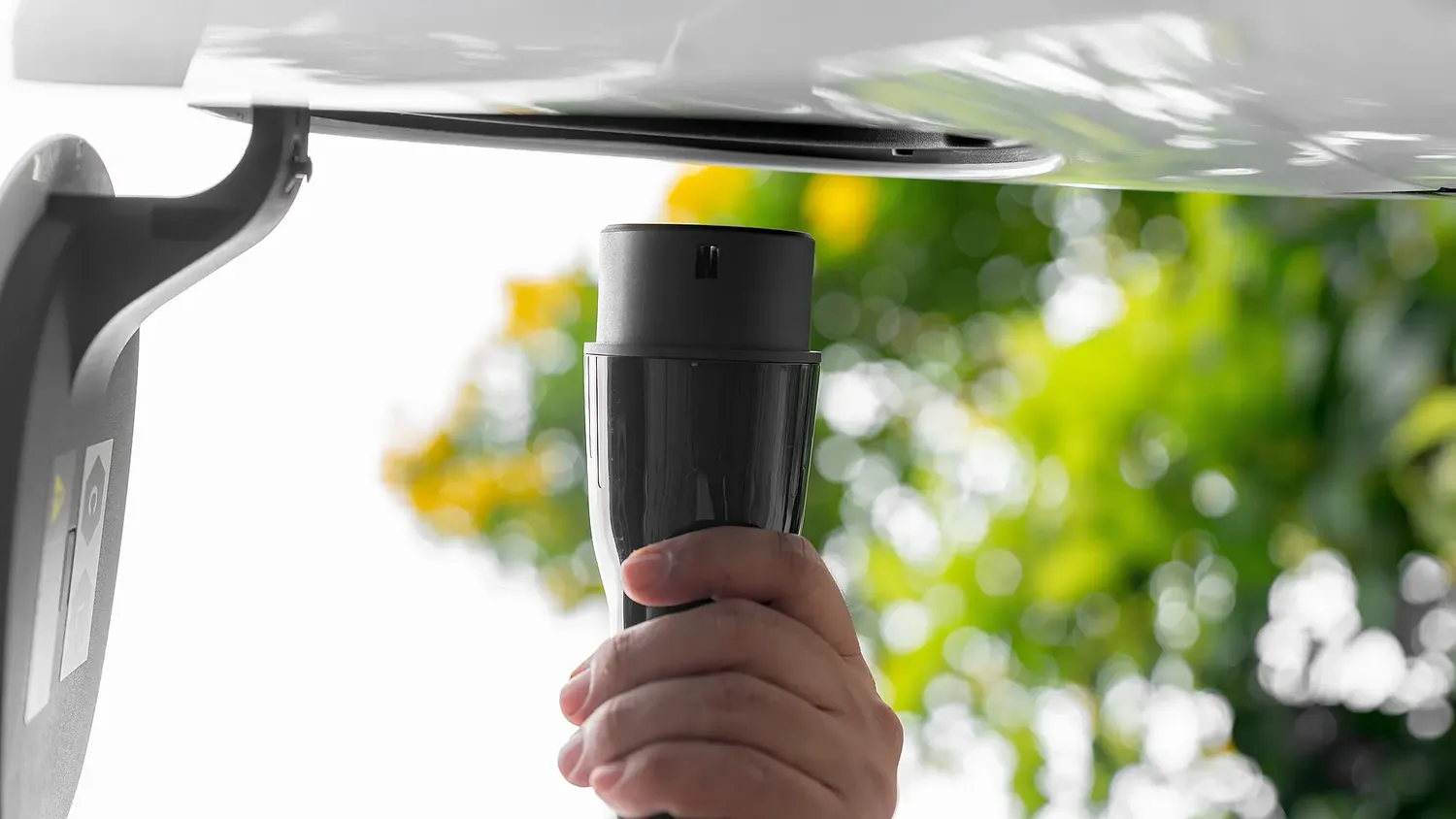 © Kittichai Boonpong | Dreamstime.com