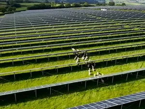 Lightsource Renewable Energy zoekt agrarische gronden voor zonneparken