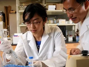 Wetenschappers universiteit Missouri ontdekken coating die levensduur lithium-ionbatterijen verlengt