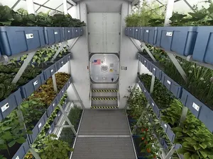 NASA gaat met led-verlichting voedsel produceren in de ruimte (video)