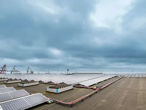 Opslagterminal voor cacao in haven Amsterdam voorzien van 7.000 zonnepanelen
