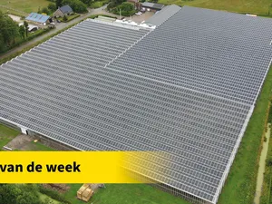 Project van de week | 11.724 zonnepanelen voor kas in Venlo