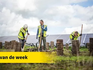 Project van de week | Energiecoöperaties vergroten biodiversiteit bestaande zonneparken