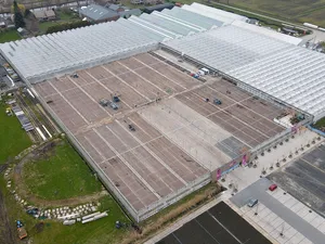 Kas Erica krijgt duizenden lichtdoorlatende zonnepanelen om plantenkweek te faciliteren