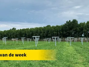 Project van de week | Zonnepark met strokenteelt laat zonnepanelen de zon volgen