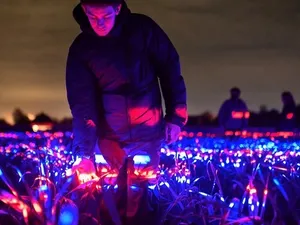 Daan Roosegaarde maakt lichtkunstwerk om landbouw te eren