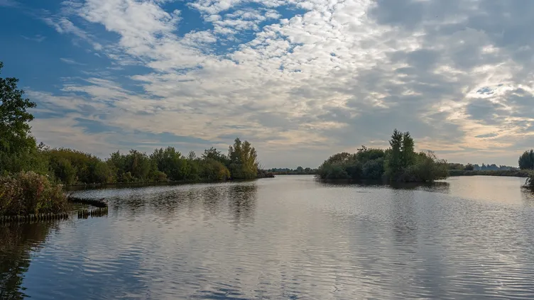 © Menno Van Der Haven | Dreamstime.com