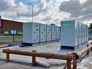 Watts In Store wijzigt naam in Steddion