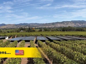 Over de grens | President Biden pakt door: Amerikanen krijgen binnen 1 dag vergunning voor zonnepanelen