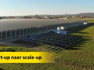Van start-up naar scale-up: Solho verovert Sunbelt met zonnewarmtesystemen voor kassen