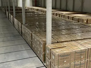 Search4Solar verhuist naar Barendrecht en ziet vraag naar batterijen snel groeien