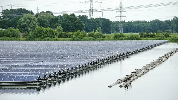 © Frans Blok | Dreamstime.com