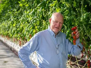 Noors Miljøgartneriet start met jaarrond tomaten en pepers kweken onder led-lampen