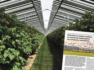 ECOCertified en Sunbiose: opofferen van waardevolle landbouwgrond voor zonneparken minimaliseren