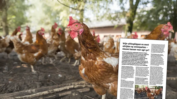 © Ahavelaar | Dreamstime.com