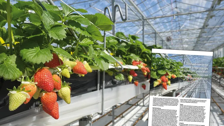 © Harry Wedzinga | Dreamstime.com