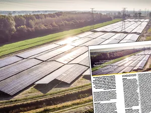 Zon in Landschap presenteert meetprotocol Biodiversiteit zonnevelden: ‘Betere zonneparken ontwerpen’