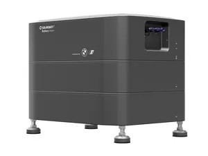 Erik de Leeuw van SOLARWATT: ‘Schaf btw op alle thuisbatterijen af’